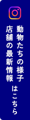 動物たちの様子・店舗の最新情報はこちら