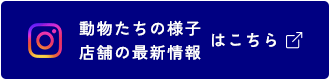 動物たちの様子・店舗の最新情報はこちら